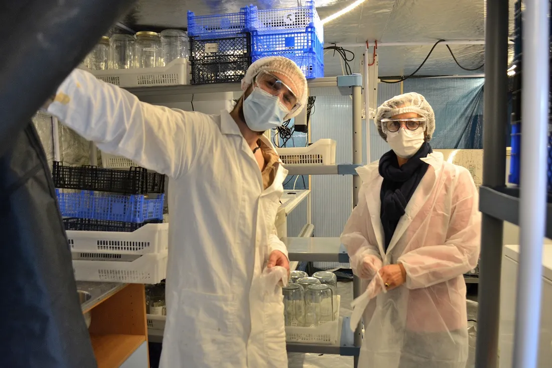 Breizh Bell Laboratoire